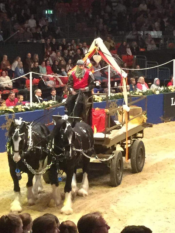 Olympia Camelot Finale